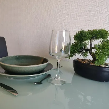 Le Palais -idéal Couple- Terrasse Hypercentre Appartement Pau