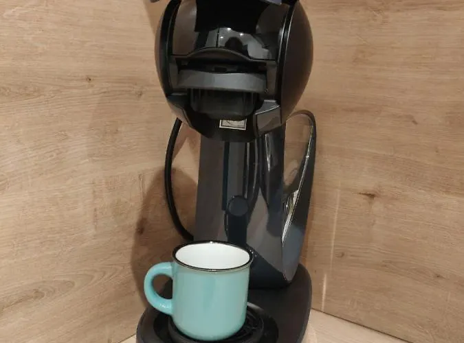 Le Palais -ideal Couple- Terrasse Hypercentre * Pau