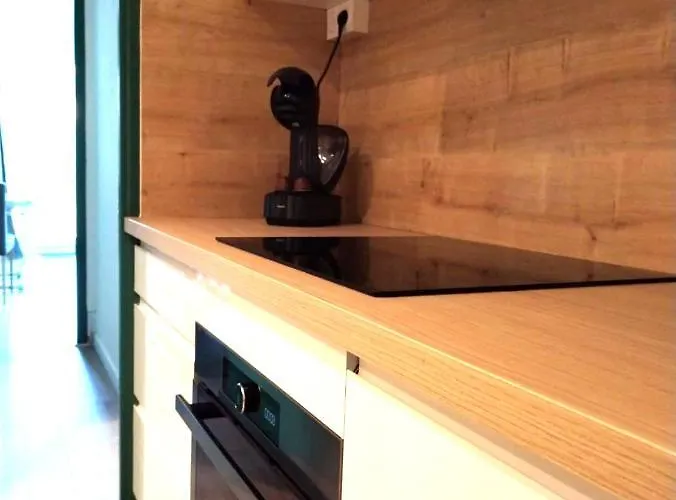 Le Palais -ideal Couple- Terrasse Hypercentre * Pau